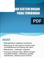 Organ Dan Sistem Organ Pada Tumbuhan