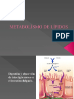 Lipidos Final ...