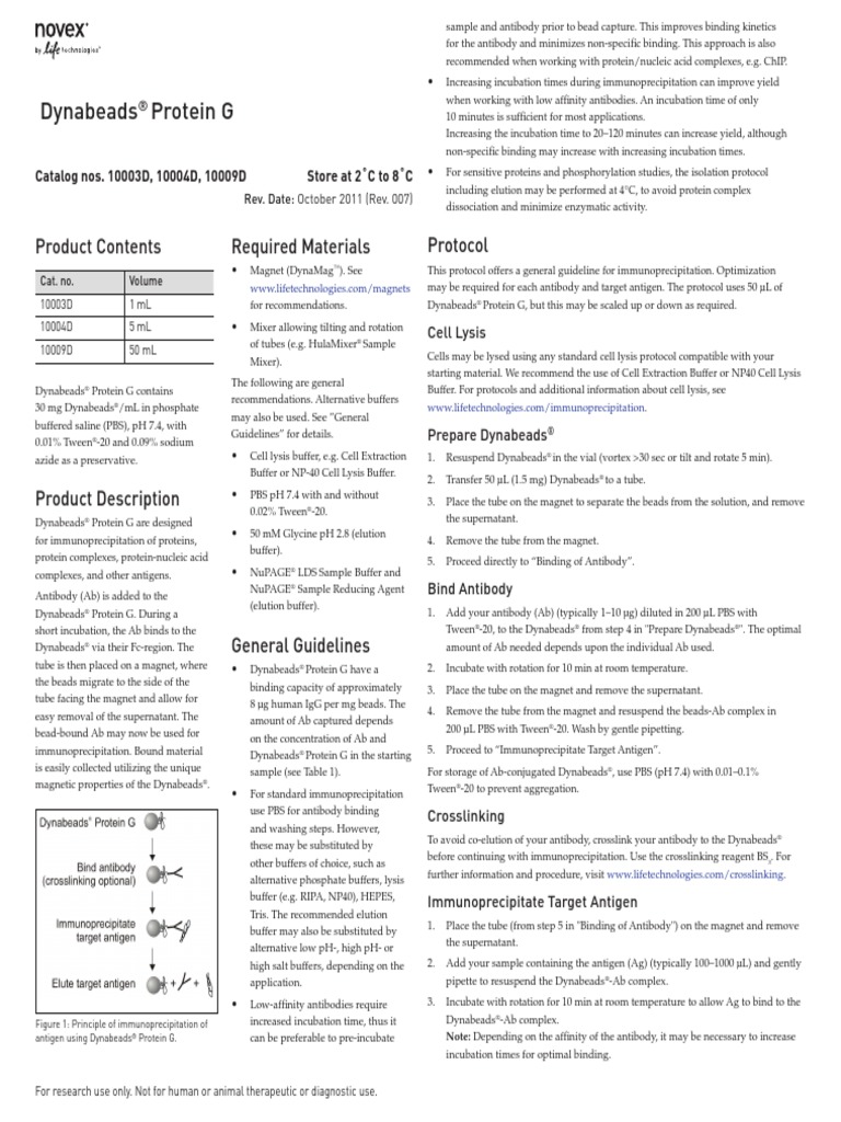 Dynabeads Protein G: Product Contents Required Materials Protocol | PDF ...