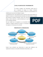PRINCIPIOS DE LA ORGANIZACIÓN.docx