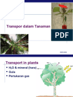 Transpor Dalam Tanaman