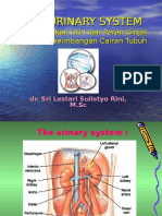 Dr. Sri L Kul-Urine