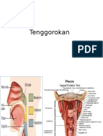 Tenggorokan