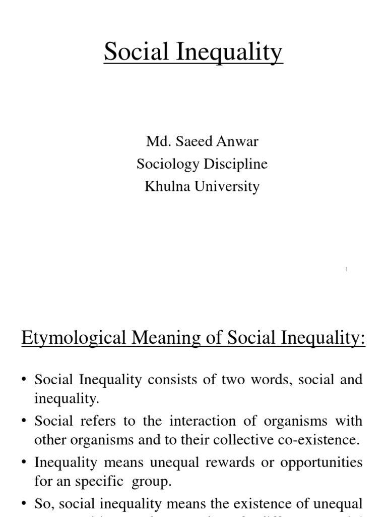 social inequality meaning essay