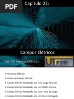 Cap 22 - Aula-Campo Eletrico (Halliday)