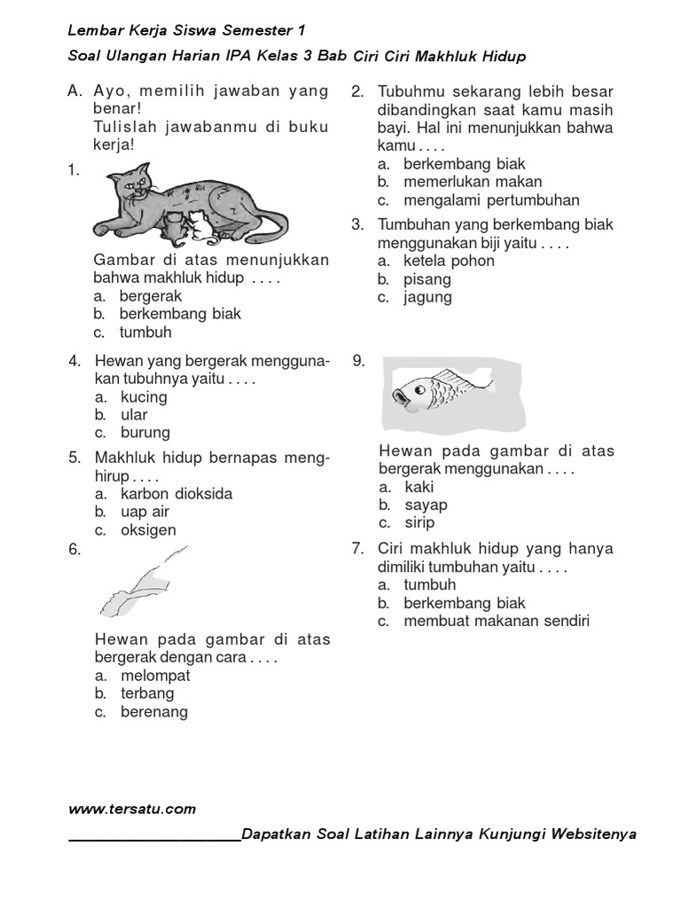 Soal Uh Ipa Kelas 3 Bab 1 Ciri Ciri Makhluk Hidup Semester 1