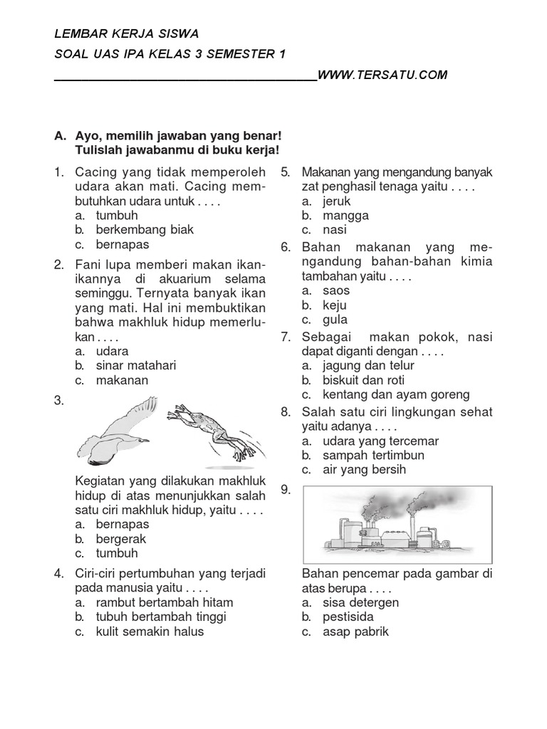 Soal Ipa Kelas 3 Sd Materi Lingkungan Sehat