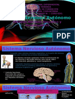  Sistema Nervioso Autonomo 