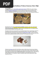 Download Cara Menumbuhkan Pohon Kurma Dari Biji by fred24rothmans SN296129432 doc pdf