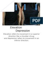 Elevationdepression