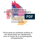 Overview of Transesophageal Echocardiography