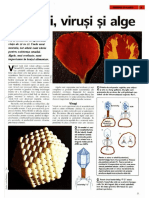 Bacterii, Virusi Si Alge