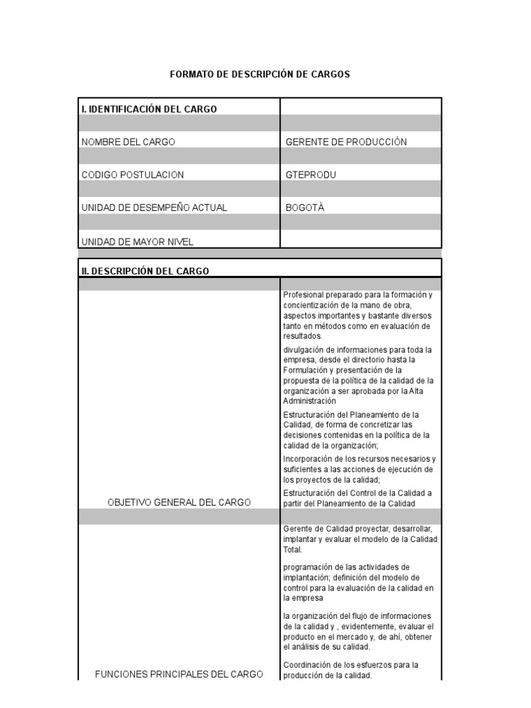 Perfil de puesto de un gerente general pdf