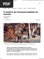O Mistério Da Homossexualidade Em Animais - BBC Brasil