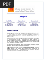 Telecom Special Services