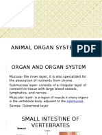 2 - Animal Organ System