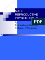 Nomad: Male Reproductive Physiology II