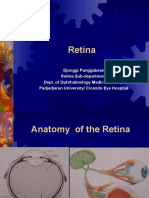 4-retina333