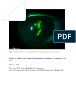 Welder Et Al (2012) - Herpes Simplex Keratitis. Available At: Accessed On: 20 Agustus 2015