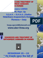 Orthopedic Diseases in Horses