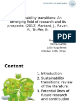 Sustainability Transitions