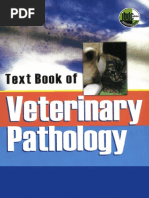 Download Textbook of Veterinary Pathology by Andreea Irina SN296203410 doc pdf