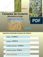 Otros Cereales Invierno