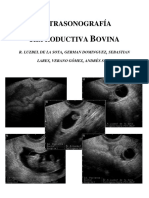 Ultrasonografía reproductiva bovina: diagnóstico y aplicaciones