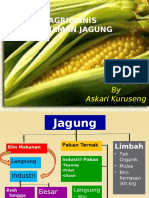 Agribisnis Jagung (PP 2014)