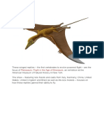 Pterosaurs: Flight in The Age of Dinosaurs