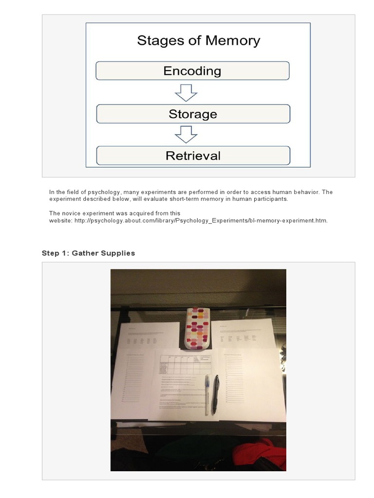 How To Do A Psychology ShortTerm Memory Experiment PDF Recall