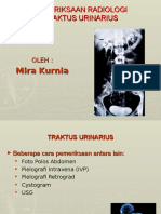 Radiologi Traktus Urinarius Mira Printttt 69