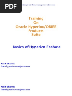 Download Hyperion Essbase Basics by Amit Sharma SN29629722 doc pdf