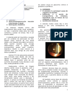 OFTALMO- Perda Visual Cronica 26.03 Miguel Zaidan (1)