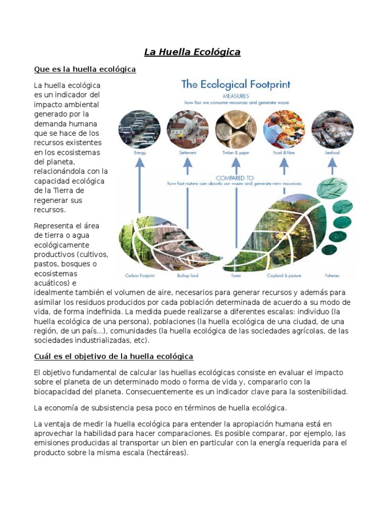 Importancia y Cálculo de la Huella Ecológica | PDF | Ciencias sociales ...