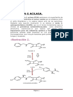 Penicilina G Acilasa