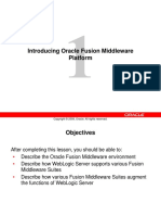 Oracle Fusion Middleware Environment