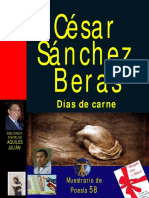 30297770 Dias de Carne Por Cesar Sanchez Beras