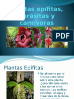 Plantas Epifitas, Parásitas y Carnívoras