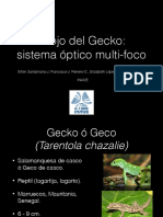 Ojo Del Gecko
