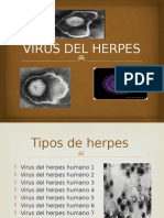 Virus Del Herpes