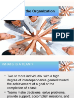 Teamwork in The Organization