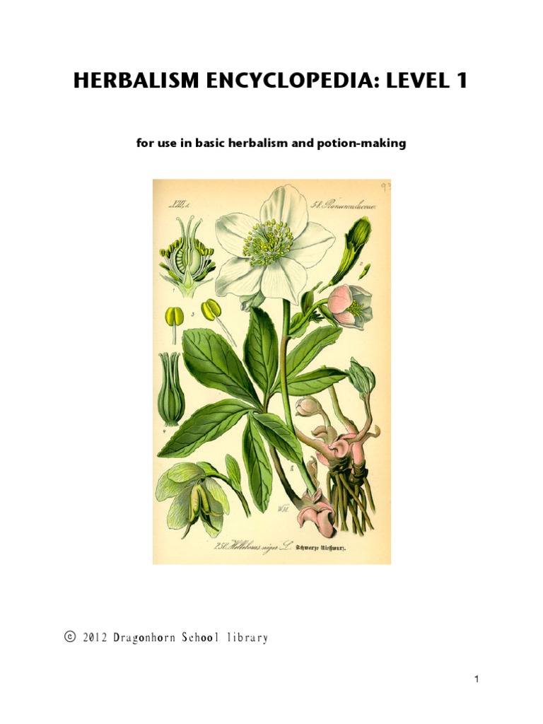 Herbalism Encyclopedia PDF Flax Lavandula