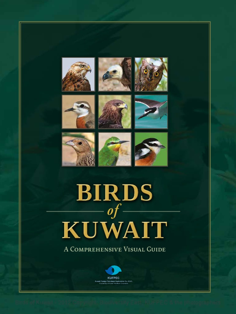 Birds of Kuwait | PDF | Bird Migration | Birdwatching