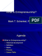 What is Entrepreneurship