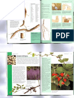 Inmultirea Plantelor Ornamentale 3 PDF