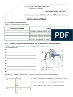 Ficha Sistema Circulatorio 6º Ano