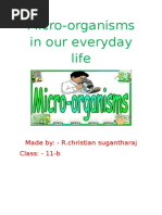 Download Microorganisms in Our Everyday Life by christian SN296400522 doc pdf