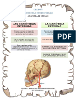 Portafolio TAC