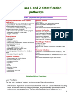 Liver Phases Detox Paths 3